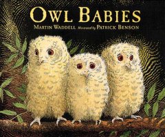 Owl babies  Cover Image