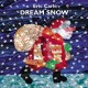 Go to record Dream snow